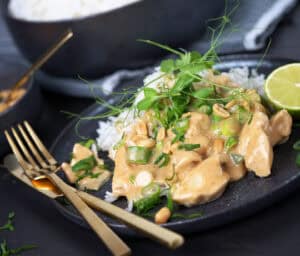 Kylling i cremet peanutsauce med forårsløg